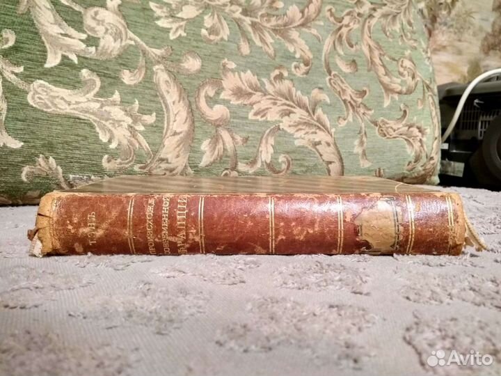 Происхождение общественного строя Франции