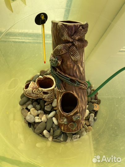 Аквариум 40 литров