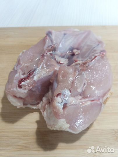 Домашние куры-бройлеры