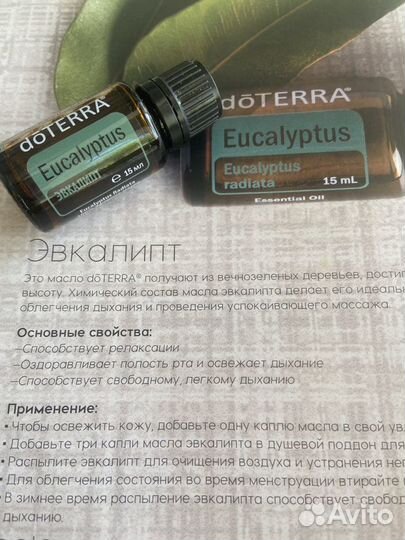 Эфирное масло Эвкалипт