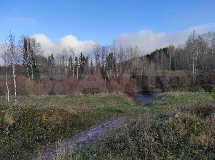 Участок 54 сот. (СНТ, ДНП)