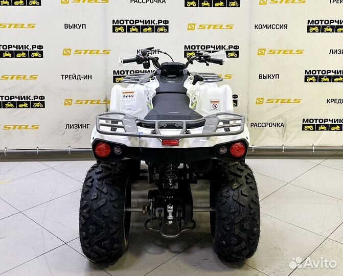 Квадроцикл Bison Hammer 200L Winch