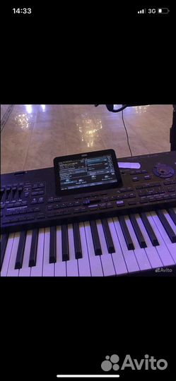 Информации на korg