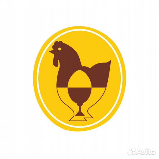 Водитель автомобиля