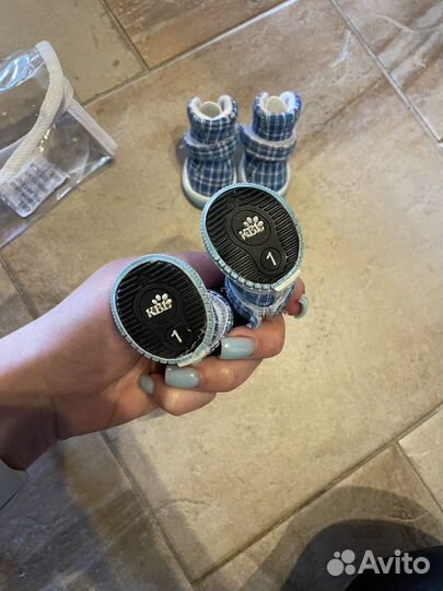 Кеды для собак