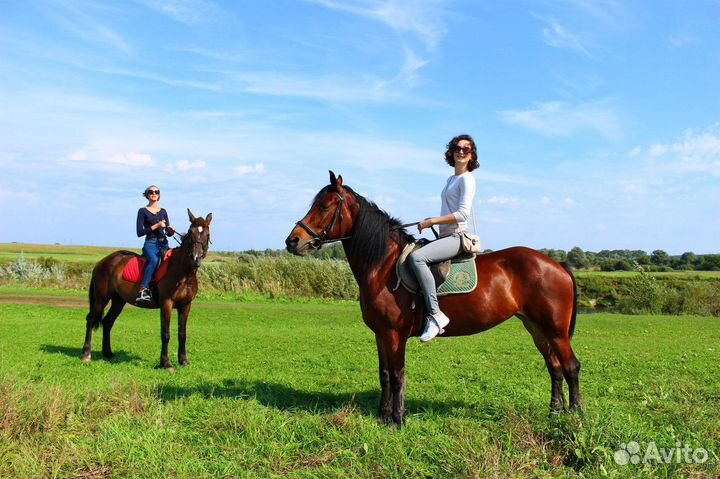 Верховая езда/конные прогулки/обучение/фотосессии