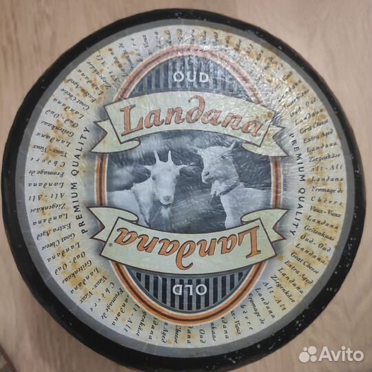 Сыры ландана оптом