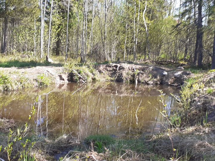 Участок 10 сот. (СНТ, ДНП)