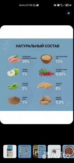 Корм для щенков ownat