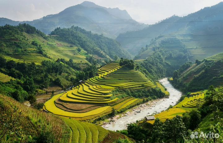 Поездка Вьетнам от 1ч