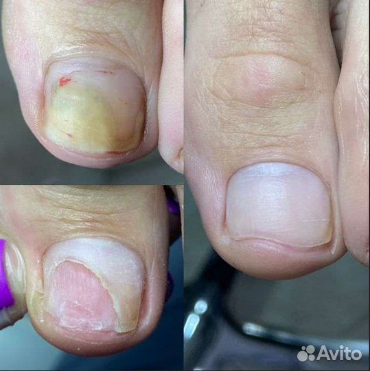 Подолог в Можайске