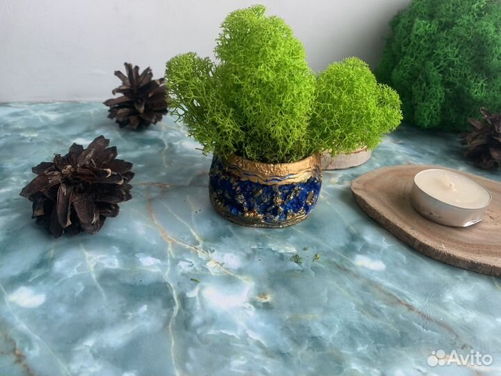Кашпо со стабилизированным (живым) мхом
