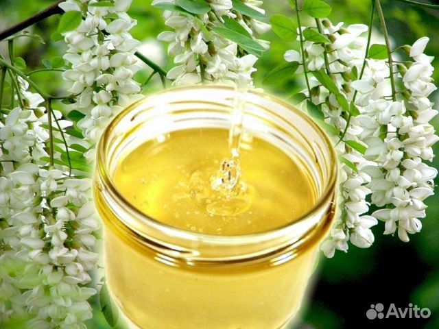 Акациевый мёд 2023
