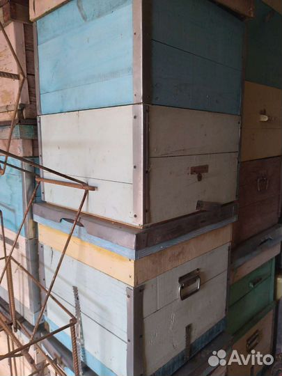 Ульи, пасека