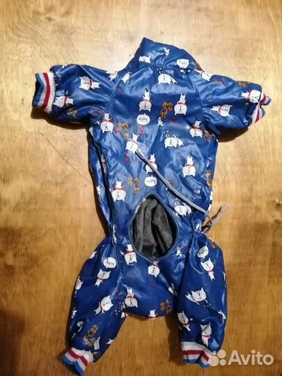 Одежда для собак