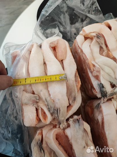 Брюшки сёмги