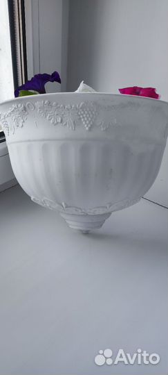 Петуния в кашпо