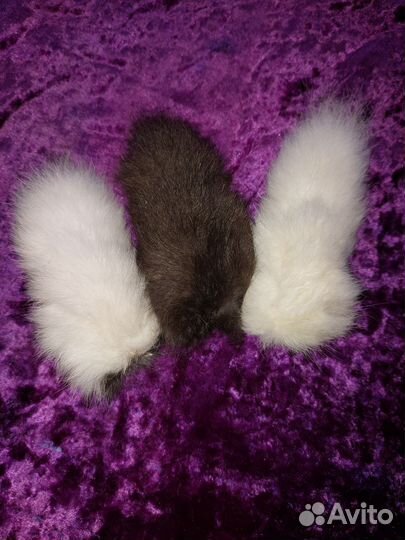 Кроличий хвостик