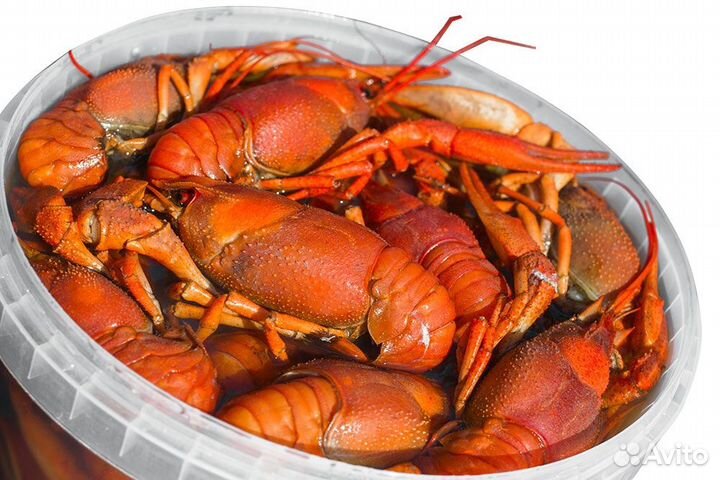 Раки вареные