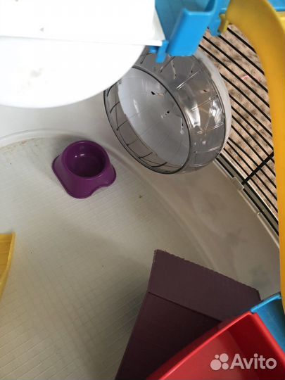 Клетка для хомяка бу