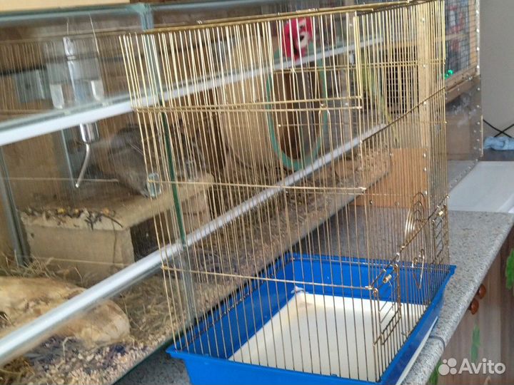 Клетка для попугая