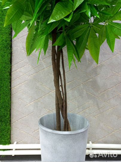 Искусственное дерево