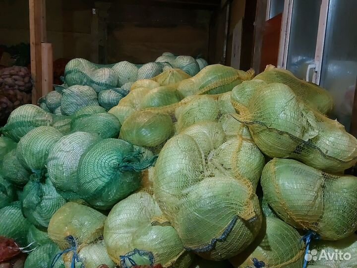 Овощи оптом