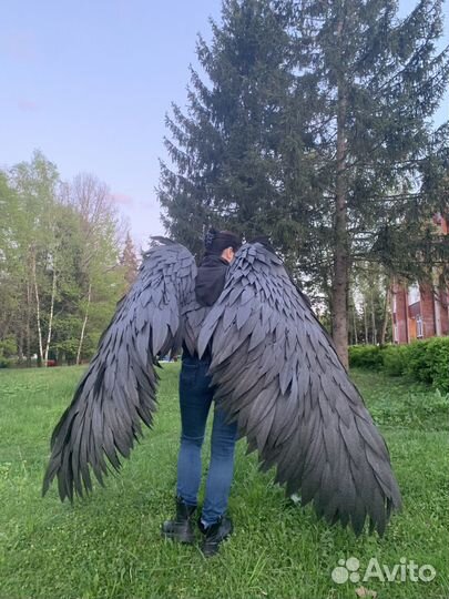 Крылья (аренда)