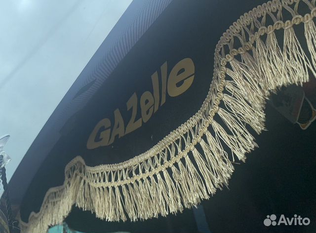 Ламбрекены Газель
