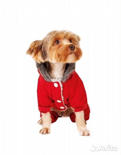 Комбинезон с капюшоном для собак XL красный
