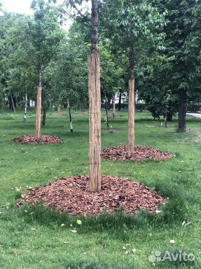 Кора лиственницы сосны мульча