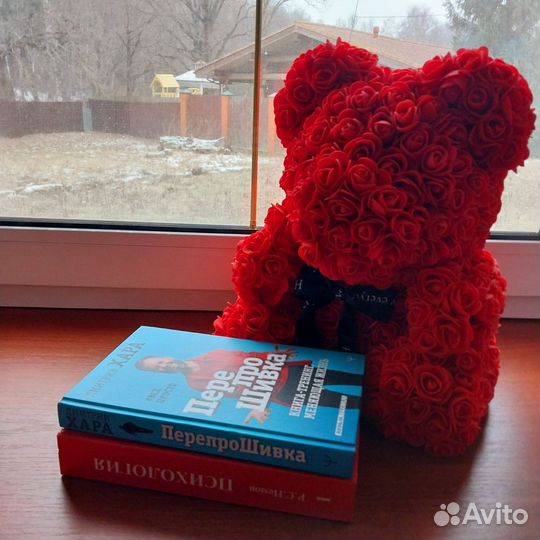 Книги Перепрошивка и Психология