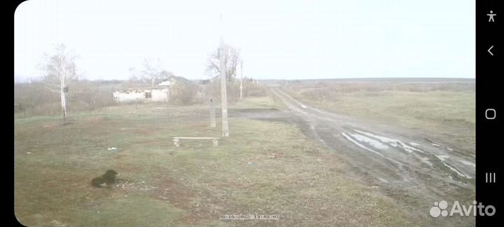 Приму в дар