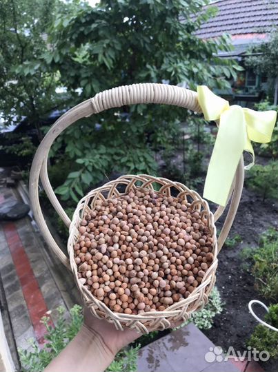 Вишнёвые косточки