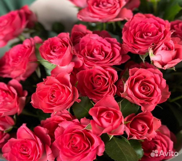 Розы кустовые букет Доставка Самовывоз