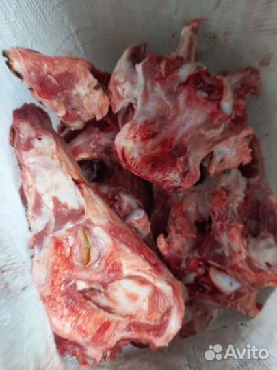 Кости для собак