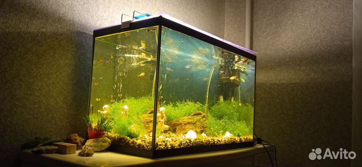 Аквариум