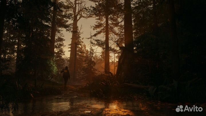 Alan Wake 2 Deluxe edition PS5