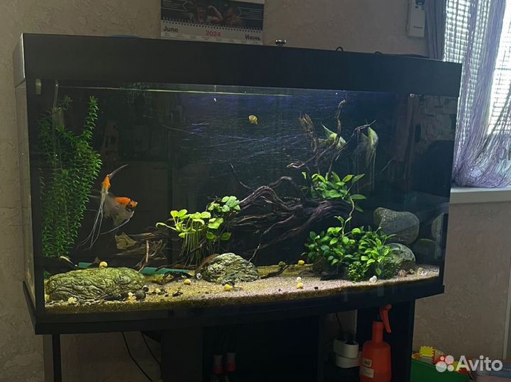 Аквариум с тумбой
