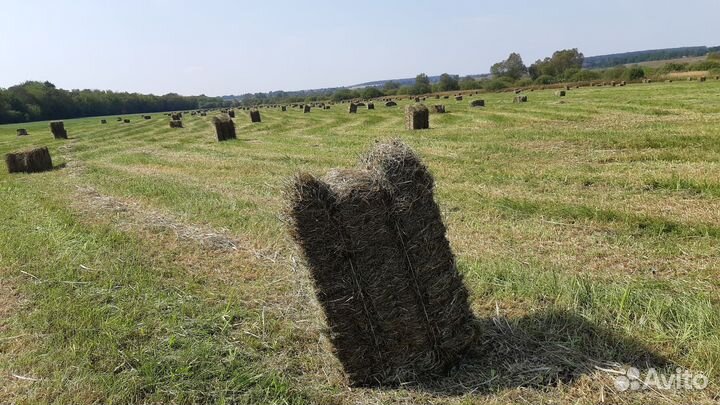 Сено в тюках и солома