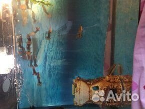 Аквариум, 40 л с крышкой и подсветкой, сомами и др