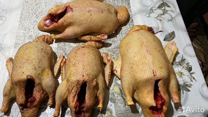 Утка с доставкой