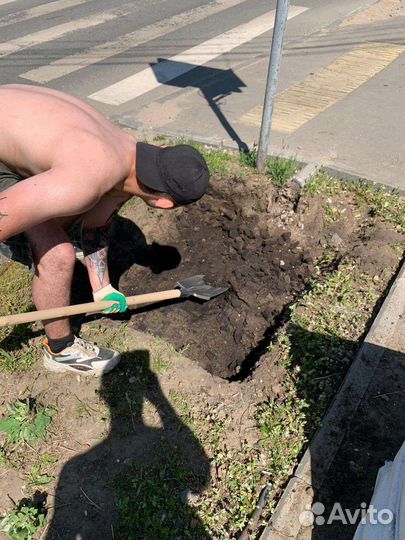 Грузоперевозки газель, грузчики, переезды