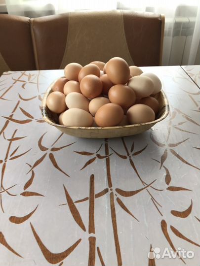 Домашние куриные яйца