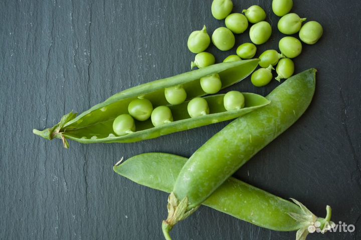 Семена гороха