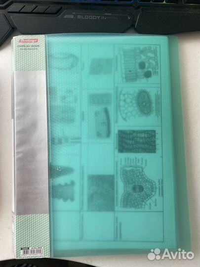 Картинки по всем темам биологии