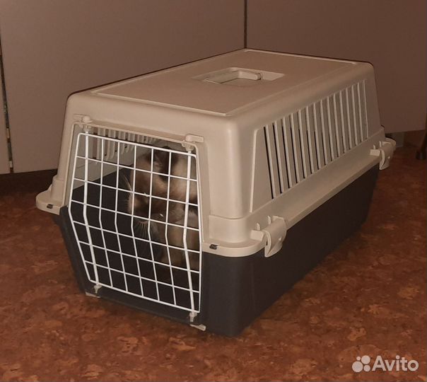 Переноска Пластиковая для крупных кошек