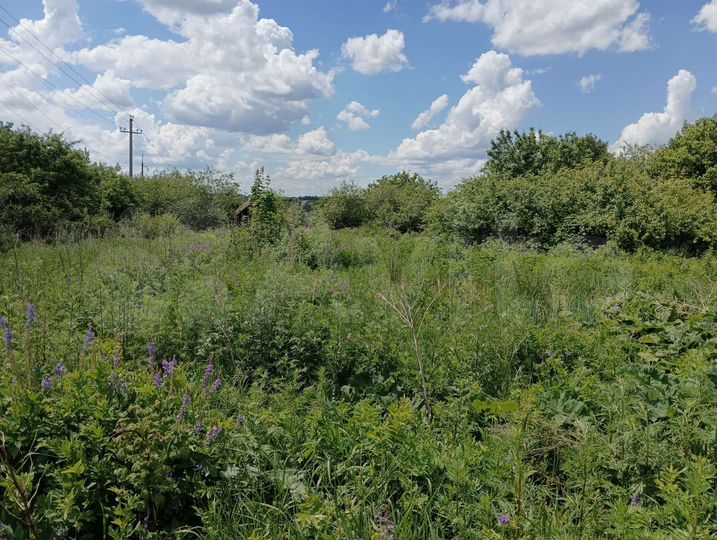 Участок 5 сот. (СНТ, ДНП)