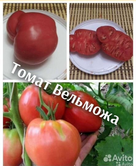 Семена коллекционных и Биф сортов томатов