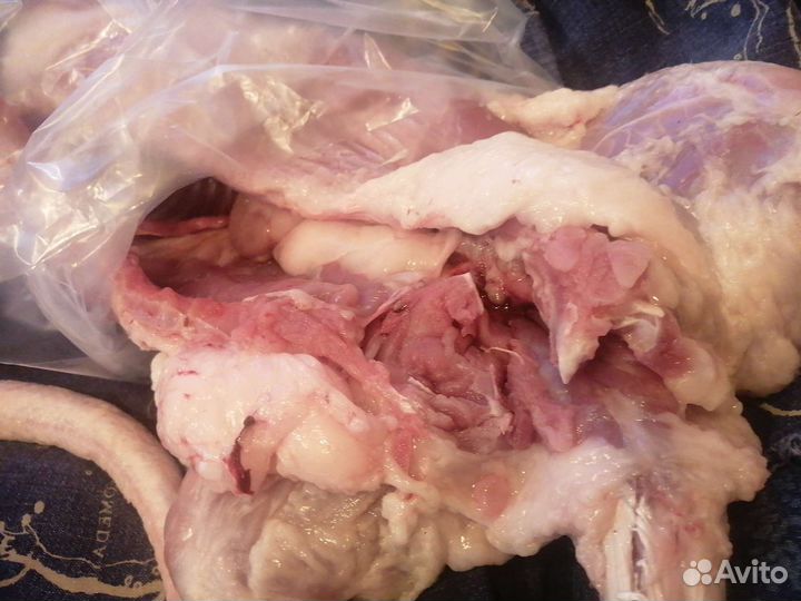 Мясо нутрии